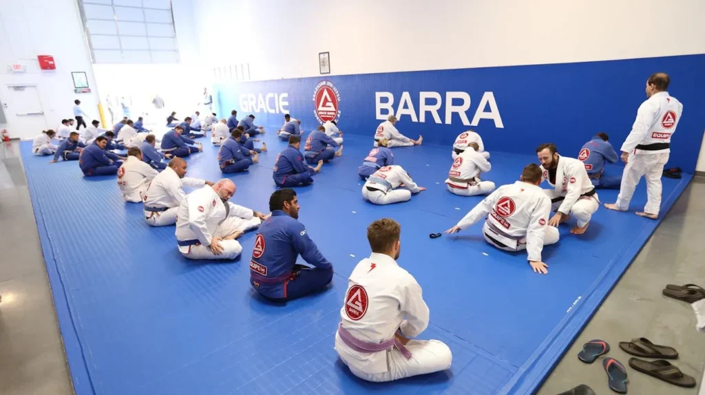 Brazilian jiu jitsu in north phoenix